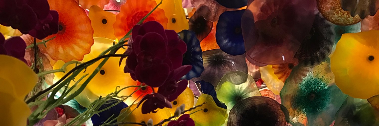 BrookeMorehouse's profile banner image