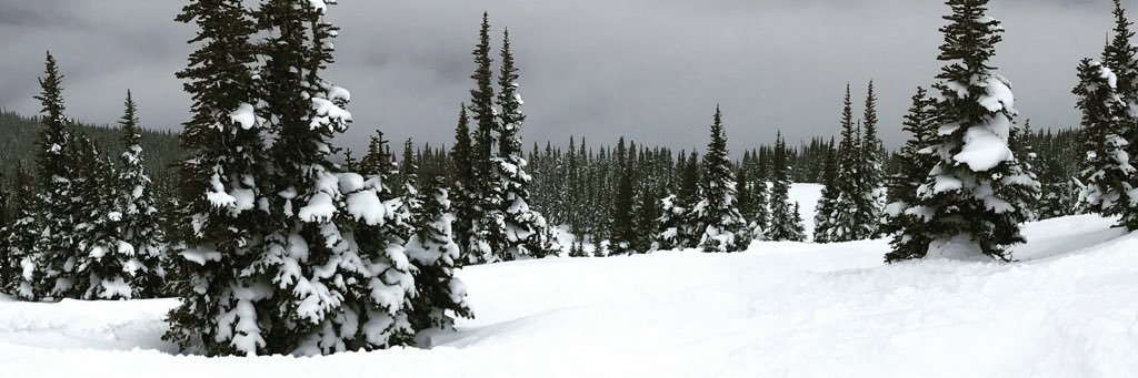 LAtakesLA's profile banner image