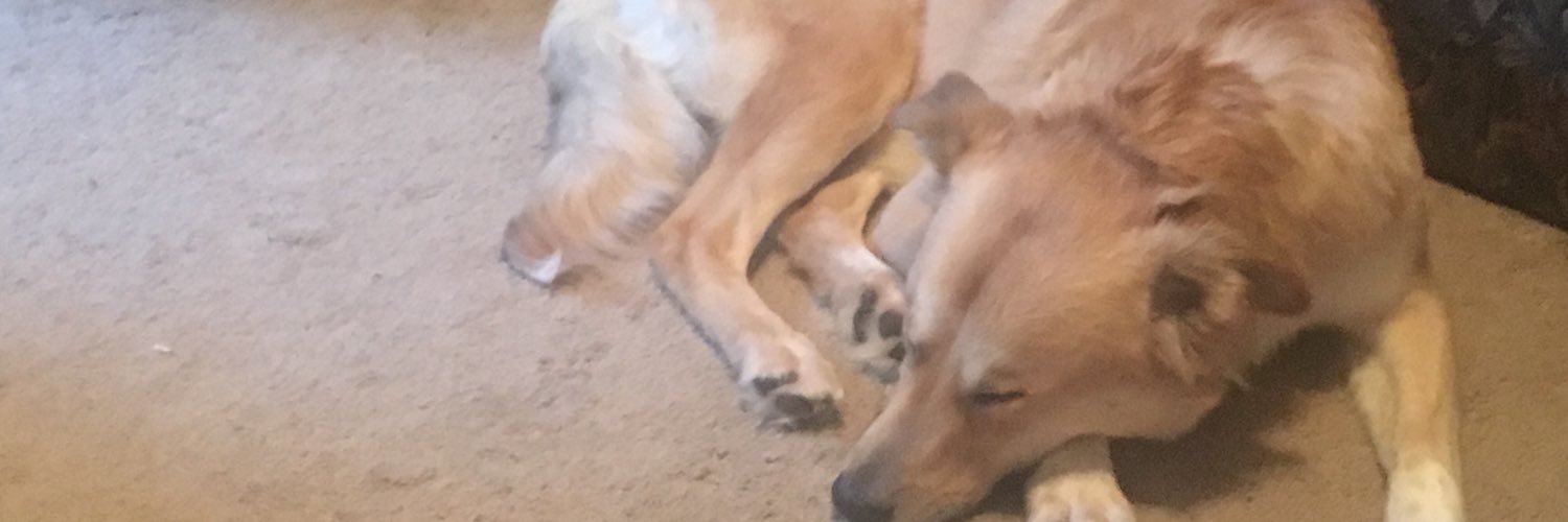 Hunterbrandon22's profile banner image