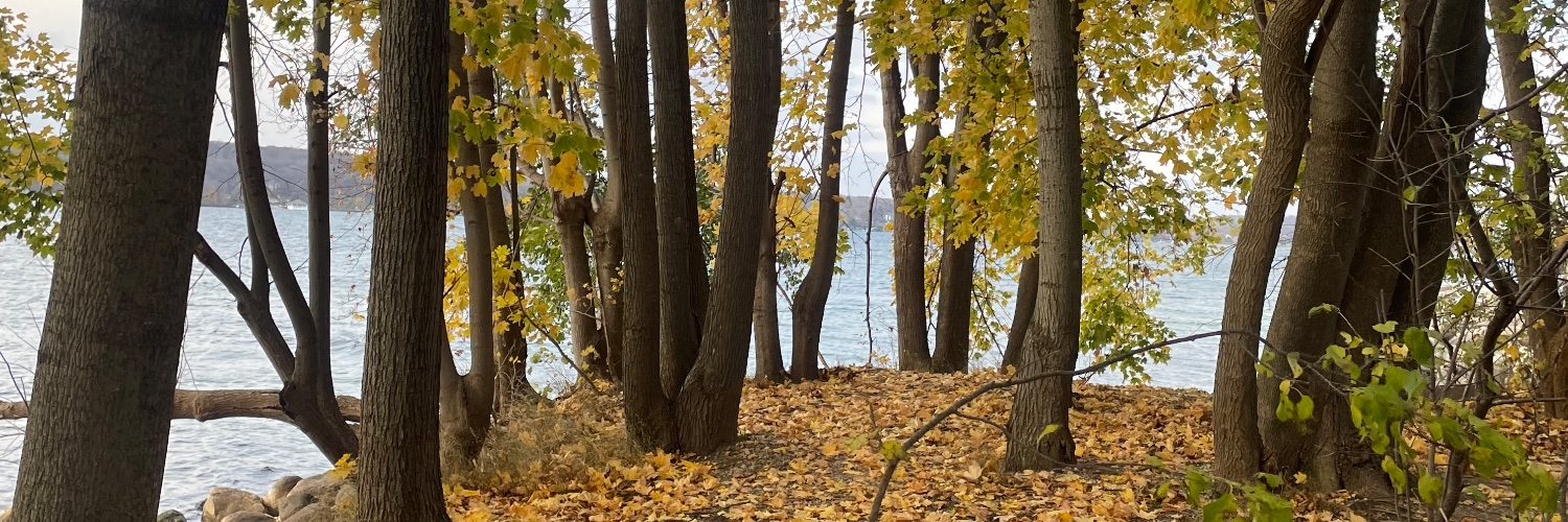 Diane Wayne, MD banner