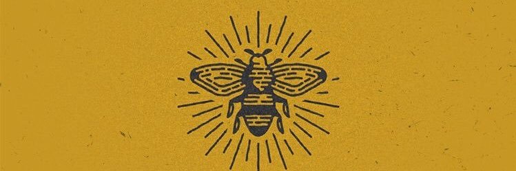 xovalll_'s profile banner image