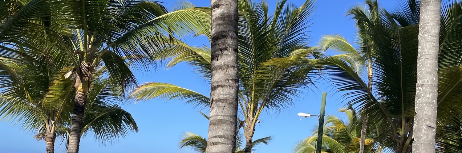 🐻‍❄️ banner