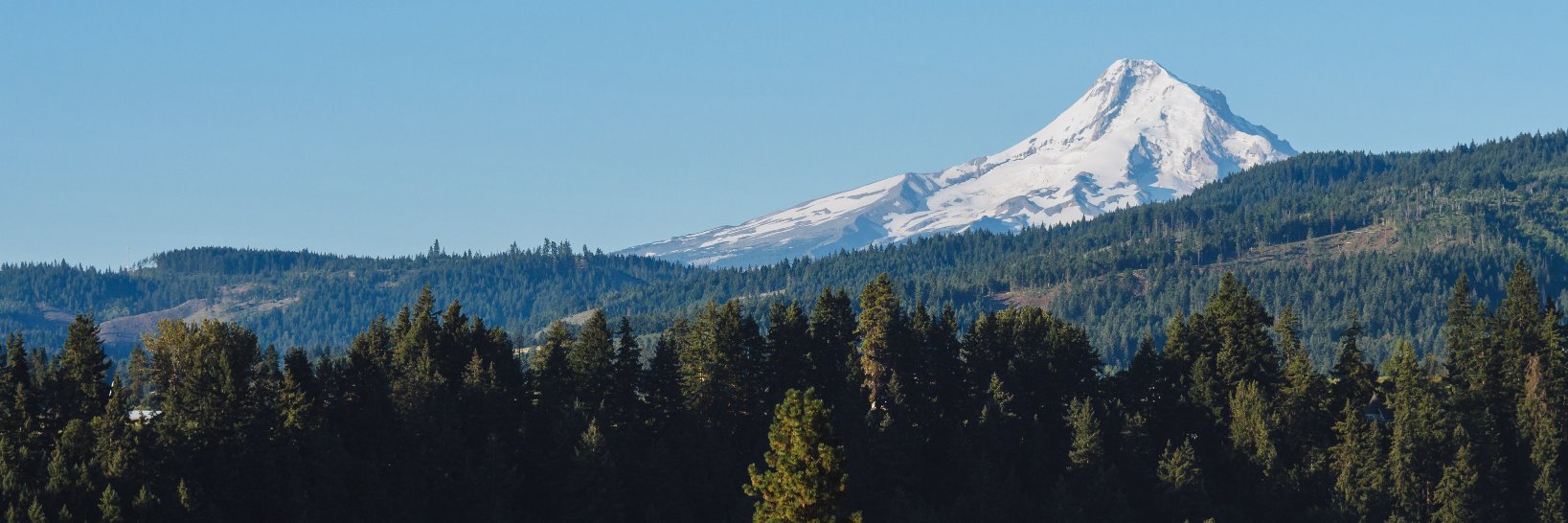 Michael Alberty banner