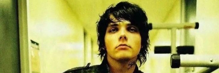 gees #1 fan// mcr 14/02 banner