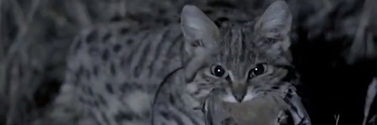 thejamesiam's profile banner image