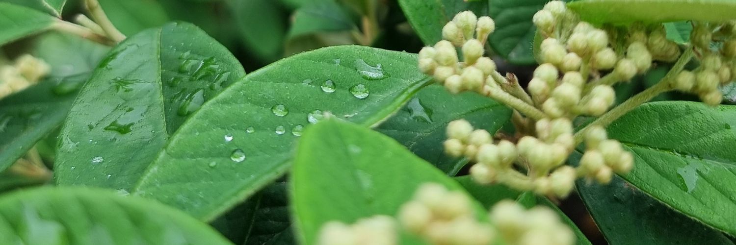 giralatuerca's profile banner image