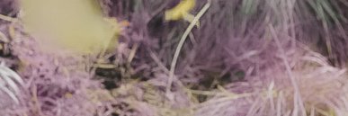 osp_eldjarn's profile banner image