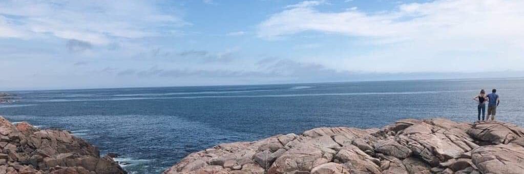 kelsu_'s profile banner image