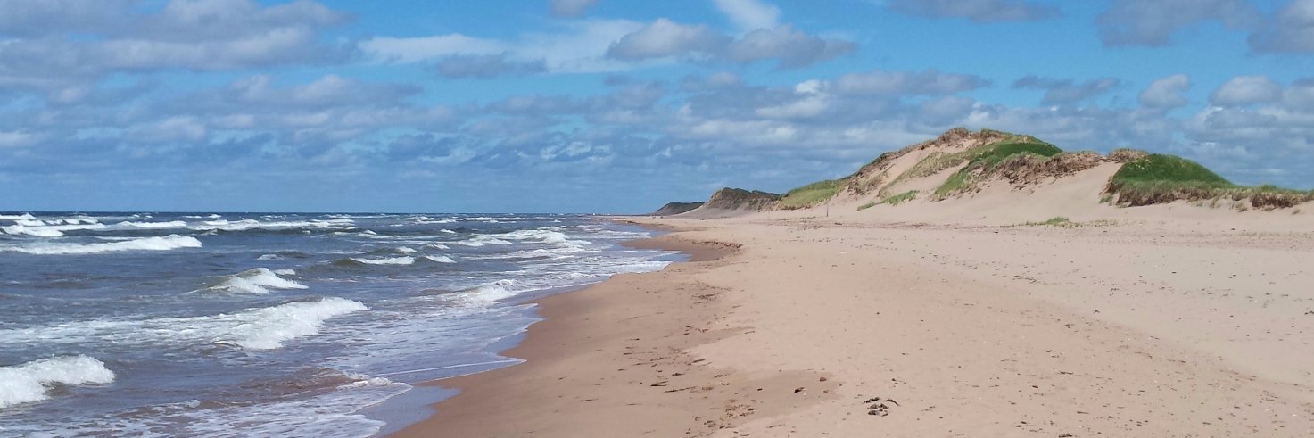 Jonathan Murphy banner