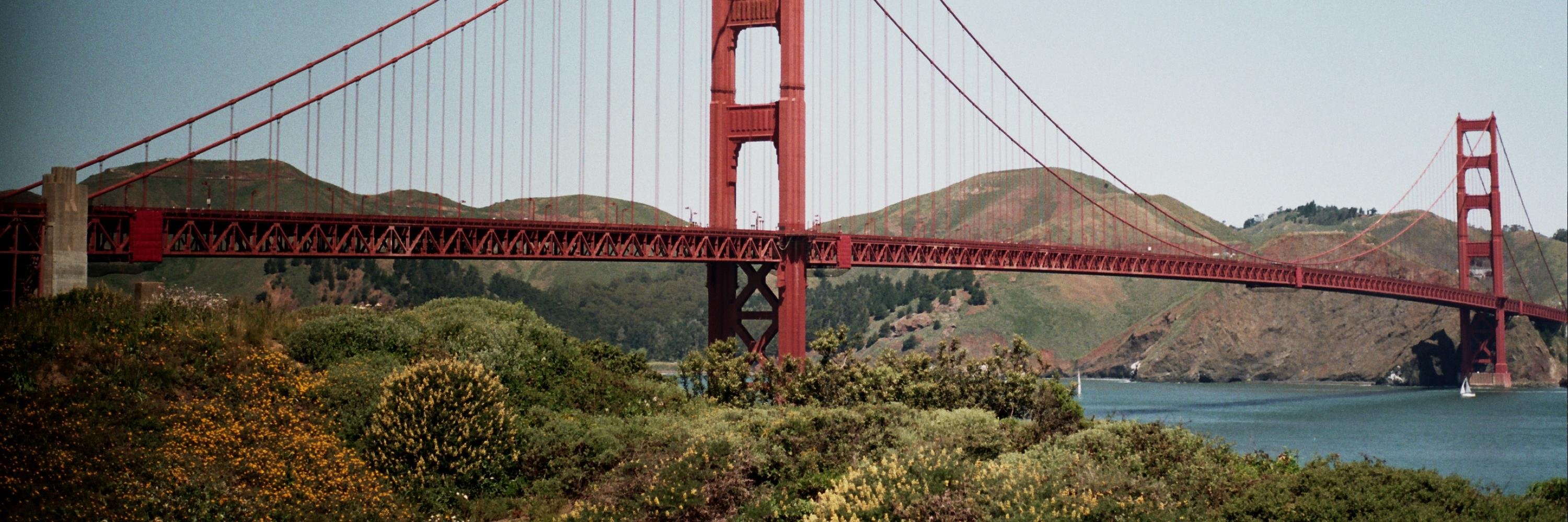 Toufeeq Hussain banner