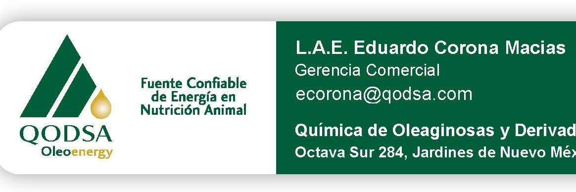 edcorona0211's profile banner image