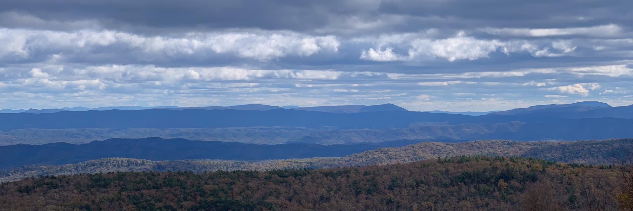 Monica Rokicki 🥑 banner