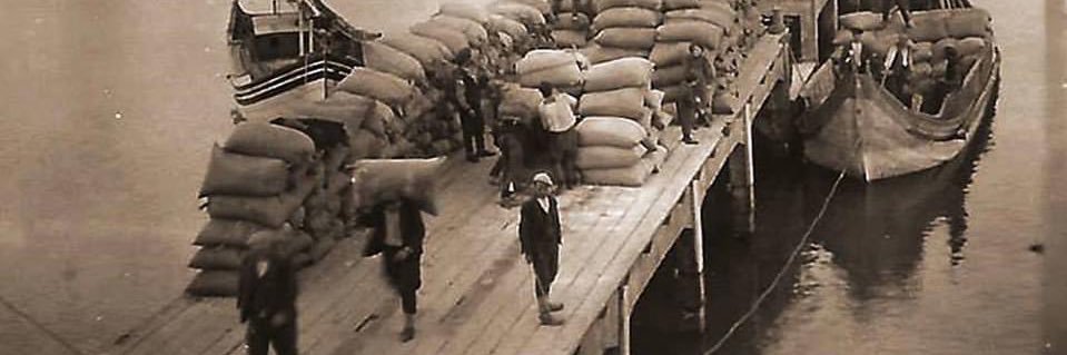 Hazelnut Dictionary🔺 banner