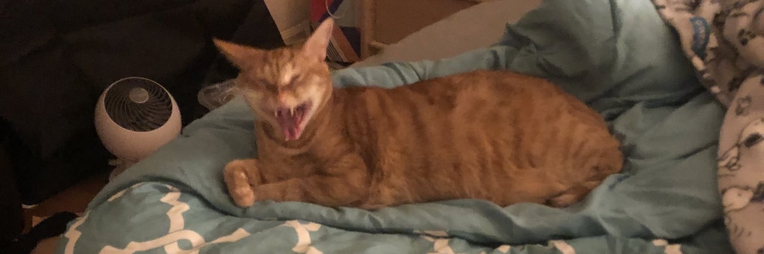 Corey = Ratings banner