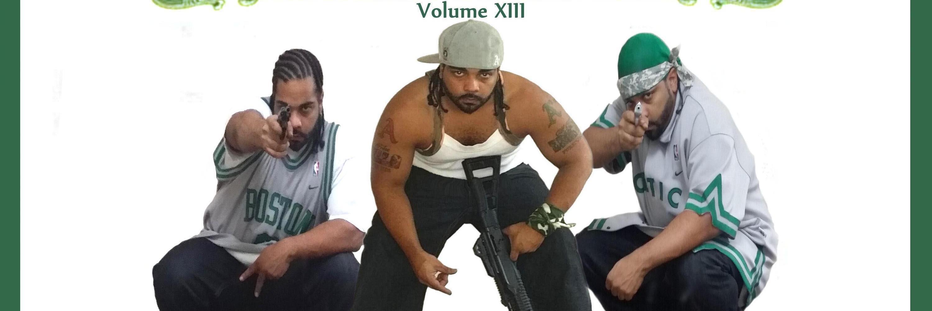 CalicoCRISIS's profile banner image