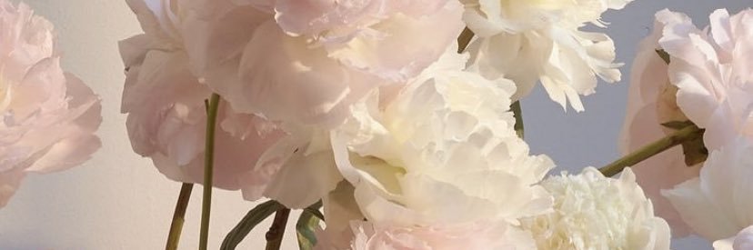 RileyWrenger's profile banner image