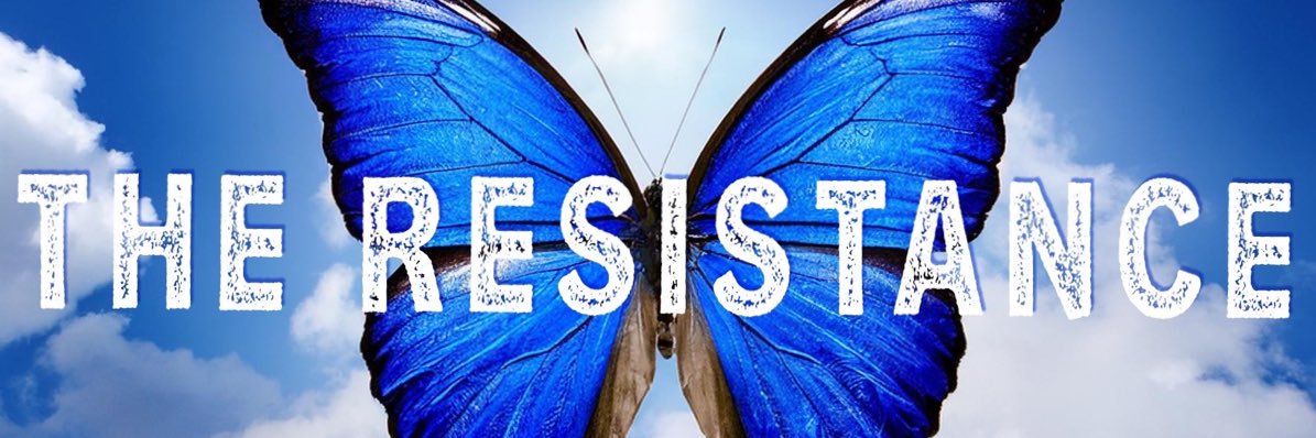 Debora 🐈📚💙☀️🌊 banner