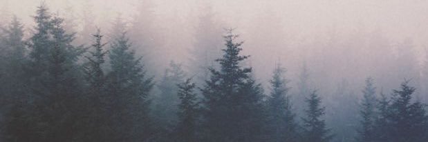 sdye12's profile banner image