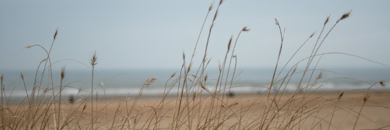 Nicolas d'Alessandro banner