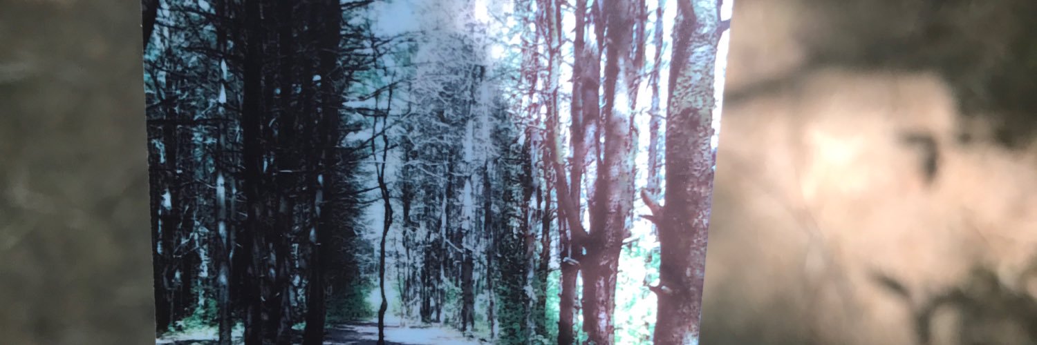 _katiepease's profile banner image