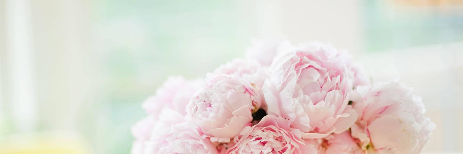 vanessahroby's profile banner image