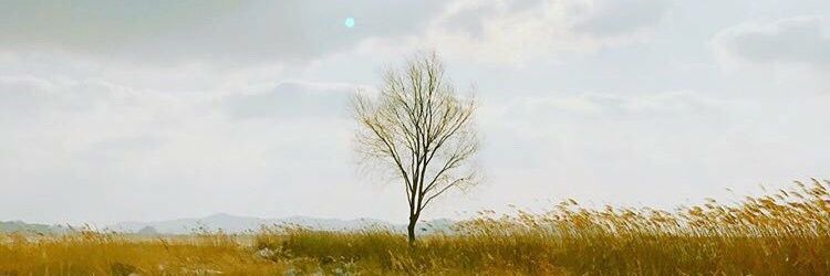 anbeeel's profile banner image