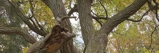 Copperton5's profile banner image