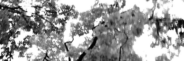 chuck_gunn's profile banner image