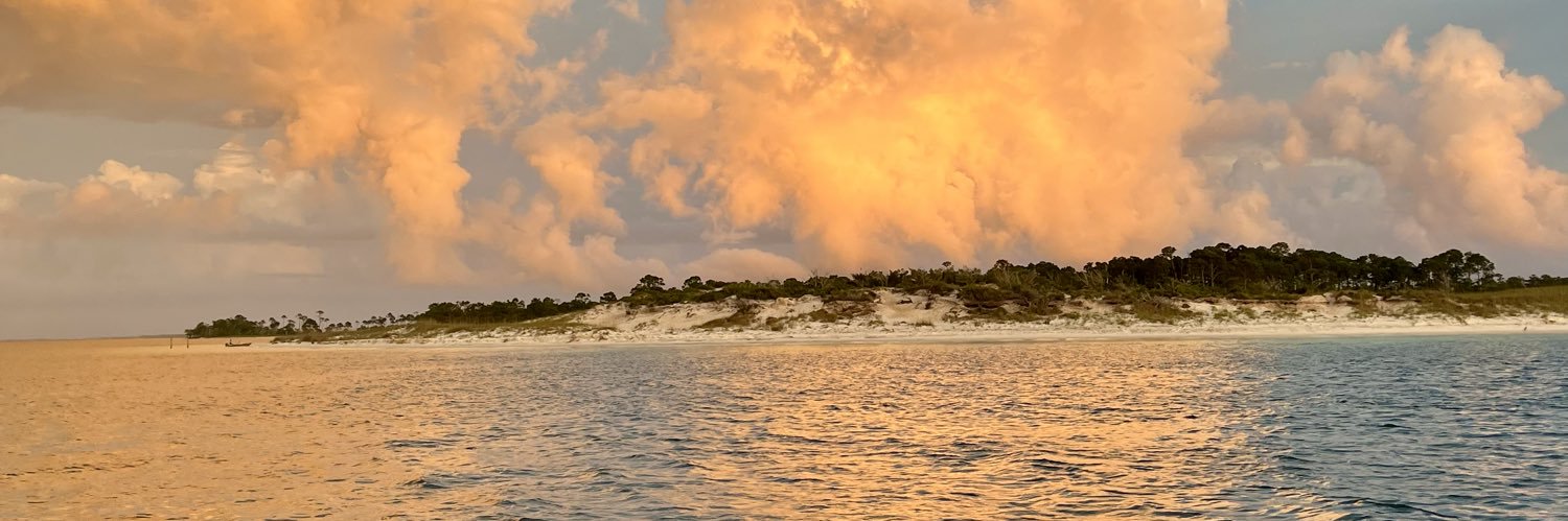 makeylah_howse's profile banner image