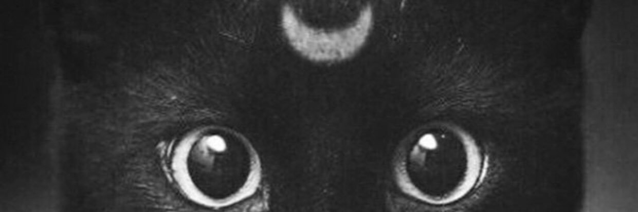 R banner