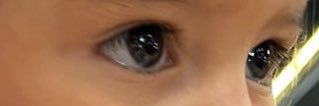 LauraCubillos2's profile banner image
