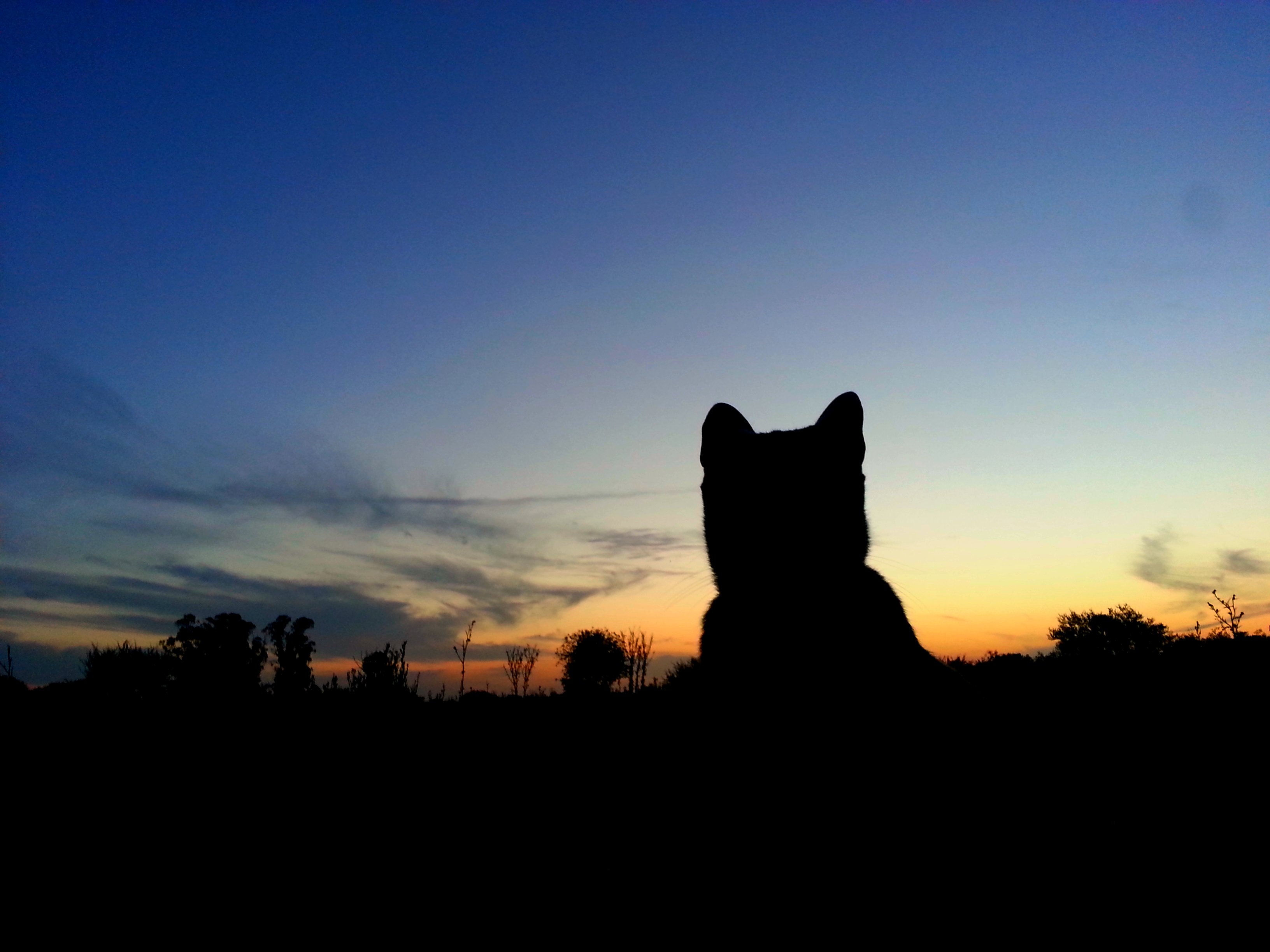 PabloRoca1's profile banner image