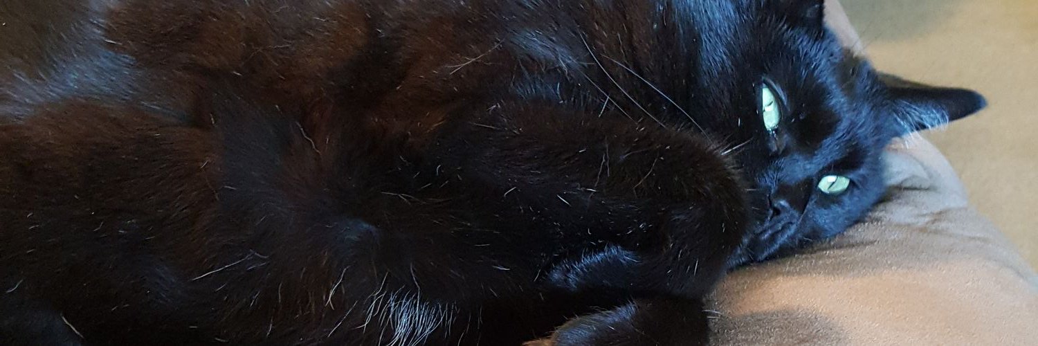 🦦 Bethany 🦦 banner