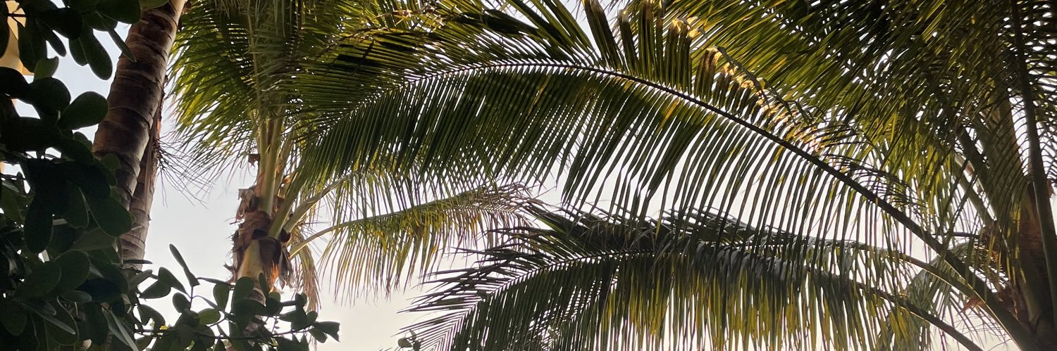 BeeOShea's profile banner image