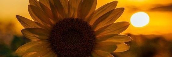 :) banner