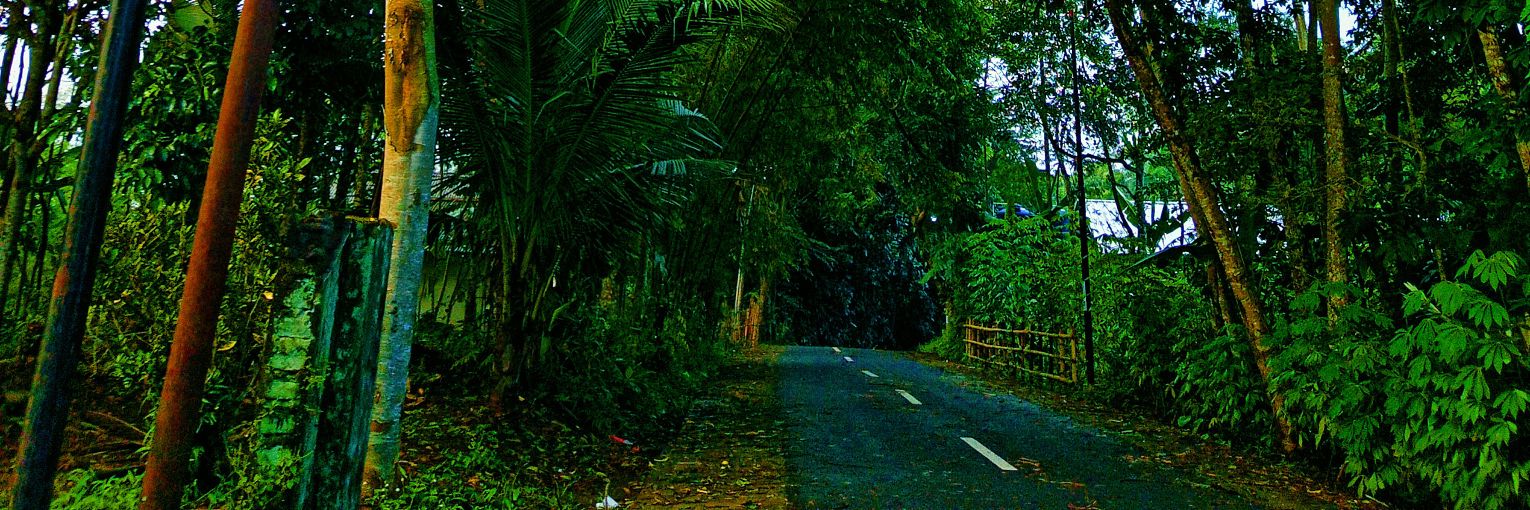 Saya banner