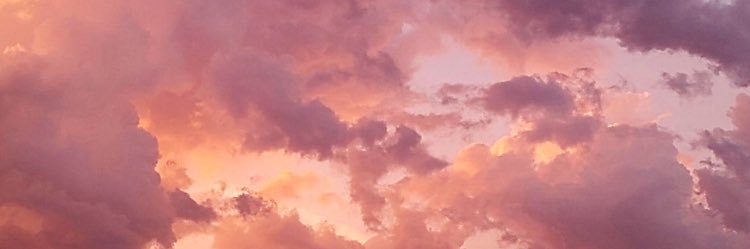 maddiewoo11's profile banner image