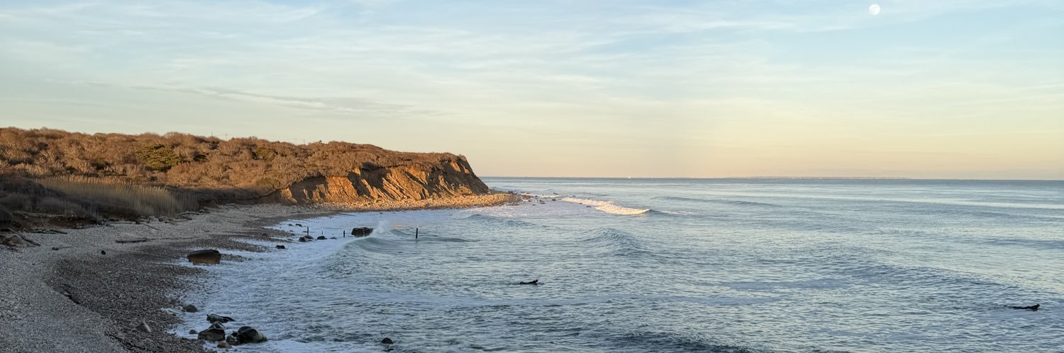 Alex V. Mitchell banner