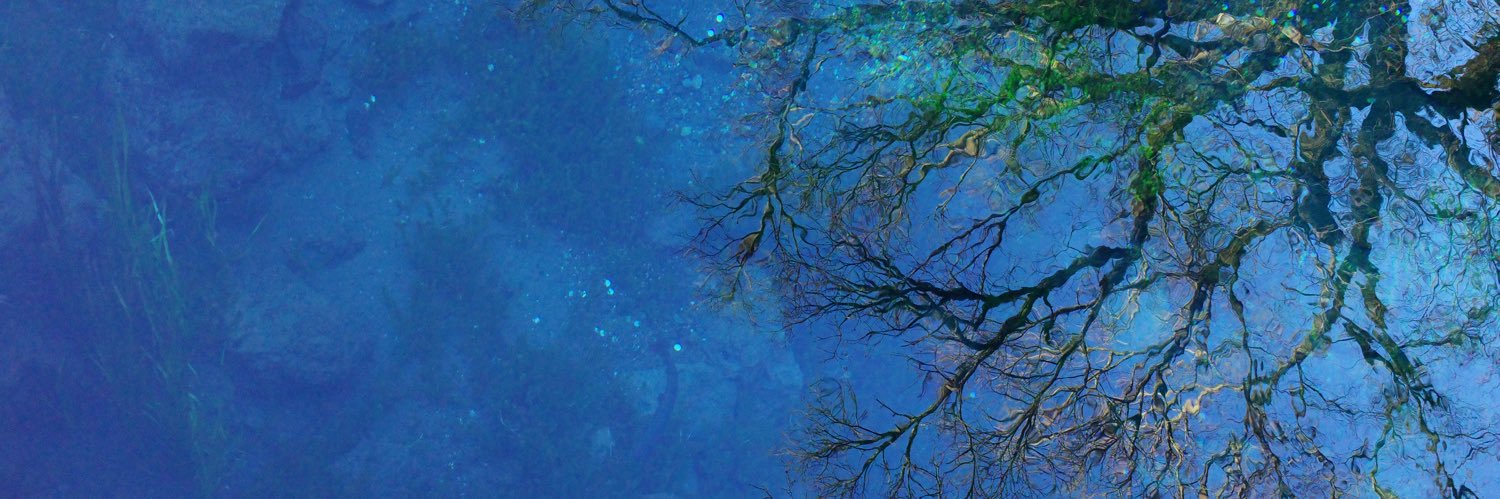 2007c26's profile banner image