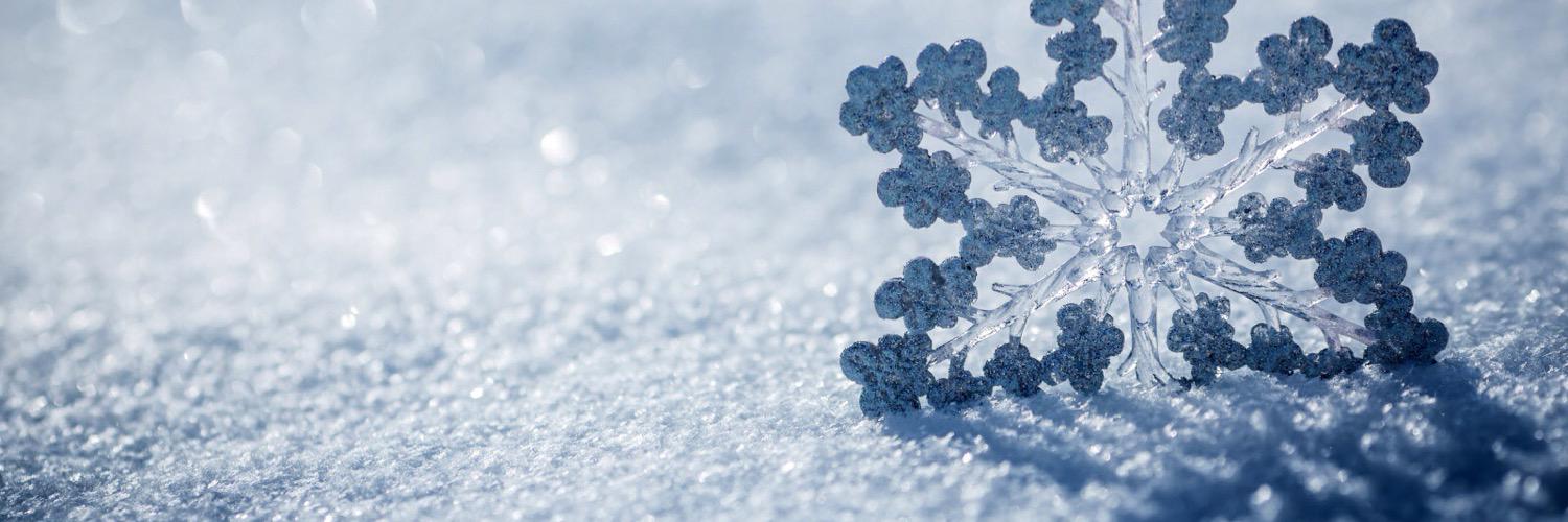 MeagCoates's profile banner image