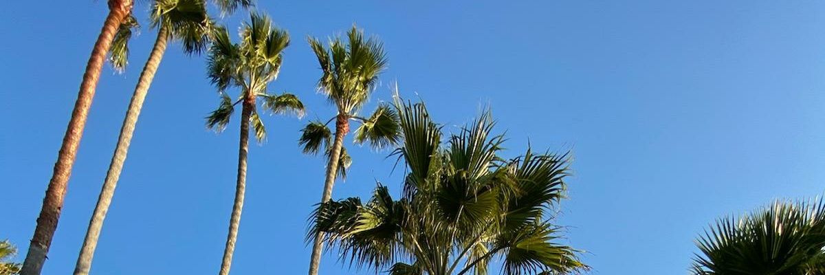 elÍÍzalaloxÍta➐💦🔥😈 banner