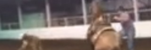 hammonsdylan77's profile banner image