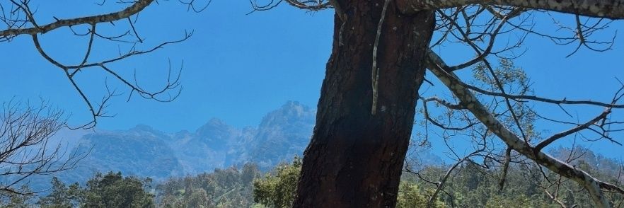 scmryn's profile banner image