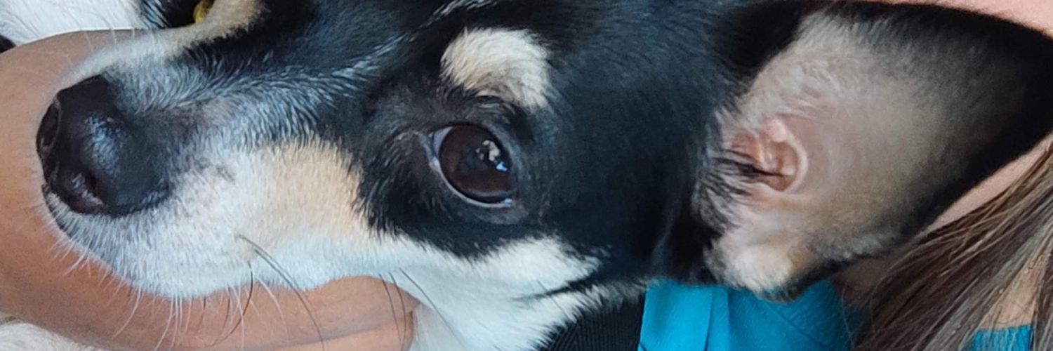 moreiraclary's profile banner image