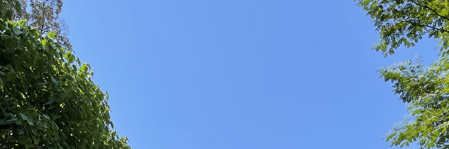 _rf_fr's profile banner image