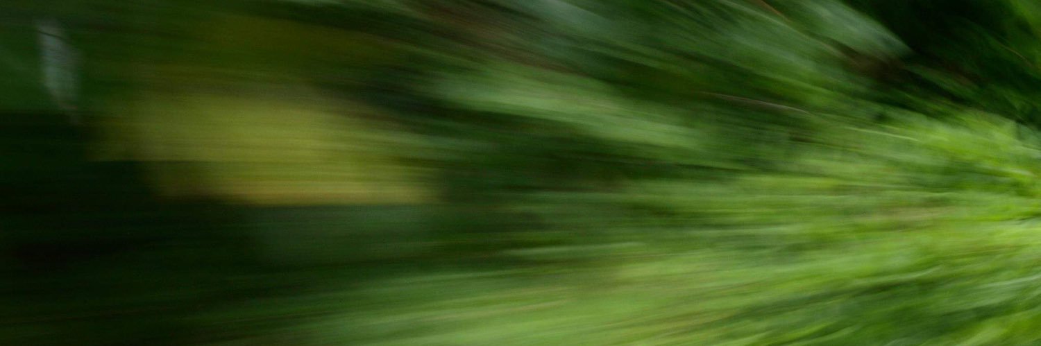 petricor_1's profile banner image