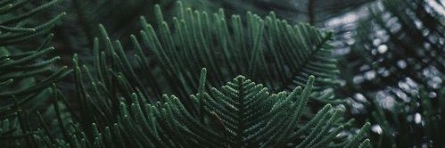 annabolger_'s profile banner image