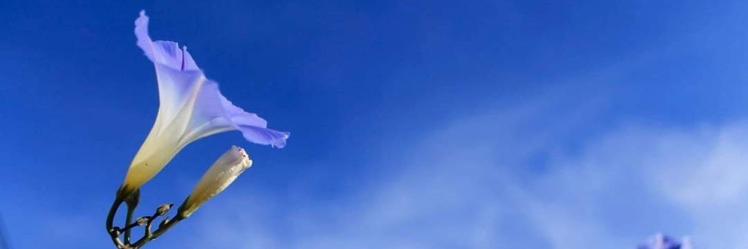 fersan15's profile banner image