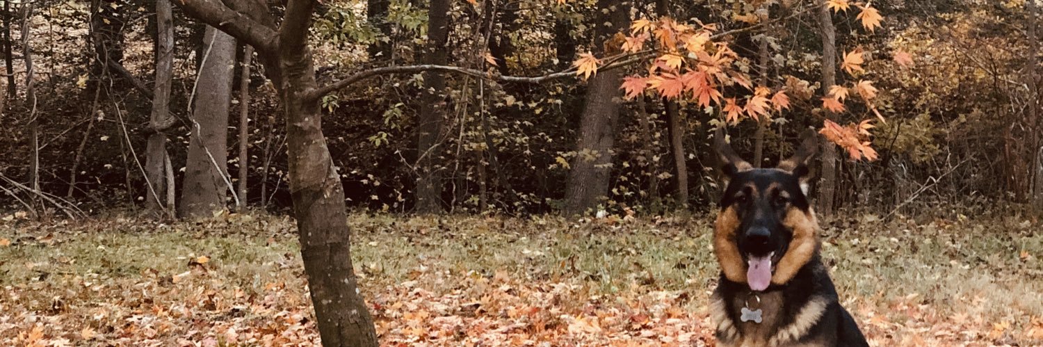 kel banner