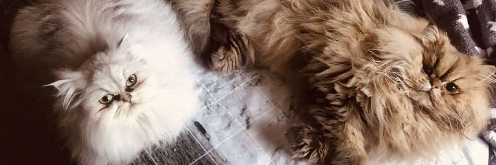 MandyClaire83's profile banner image